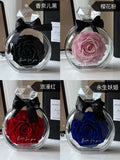 Encountering Diamond Eternal Rose